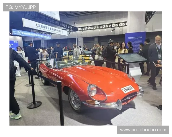 abg欧博会员尊享专属优惠活动全面解析助你轻松成为abg欧博会员享受更多专属福利的详细指南