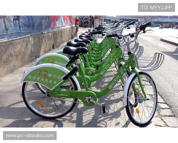 欧博二代D豪华版节能环保新技术，助力绿色出行与可持续发展