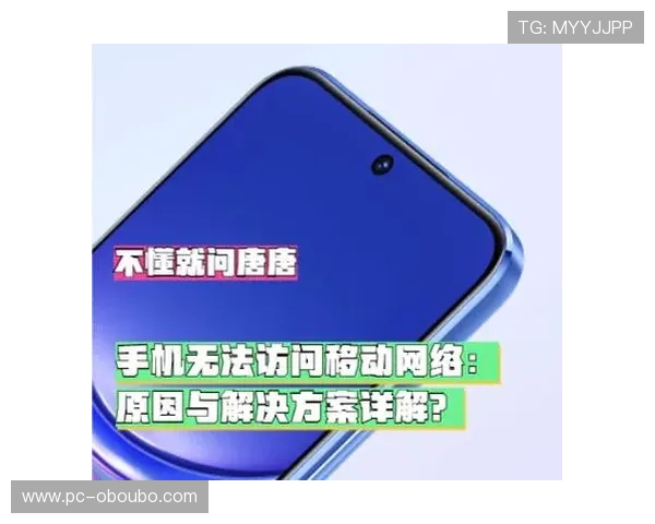 进入欧博官方网站打不开的原因分析与解决方案详解帮助用户快速恢复访问